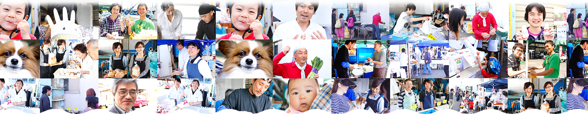 船橋ヘッダー画像